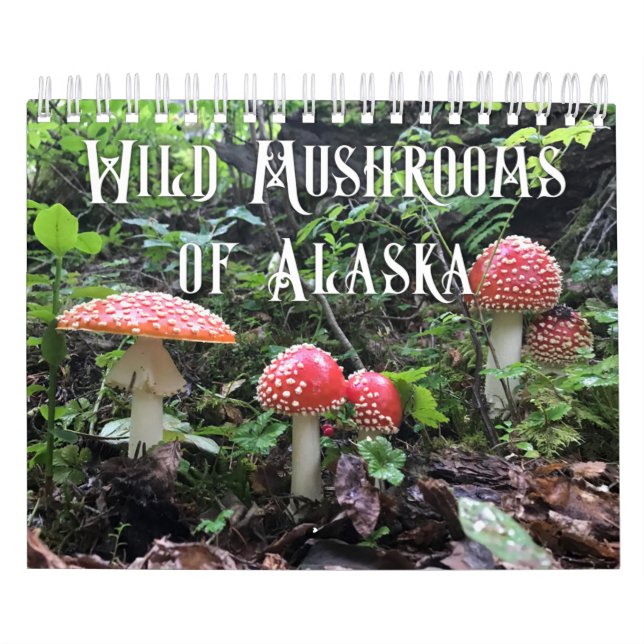 Wild Mushrooms of Alaska - Small Calendar (Cover)