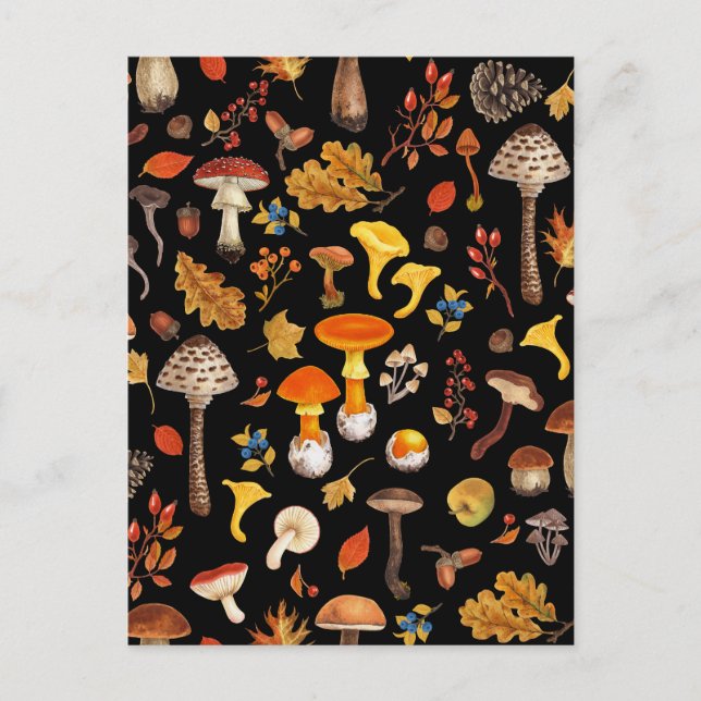 Wild mushrooms on black postcard (Front)
