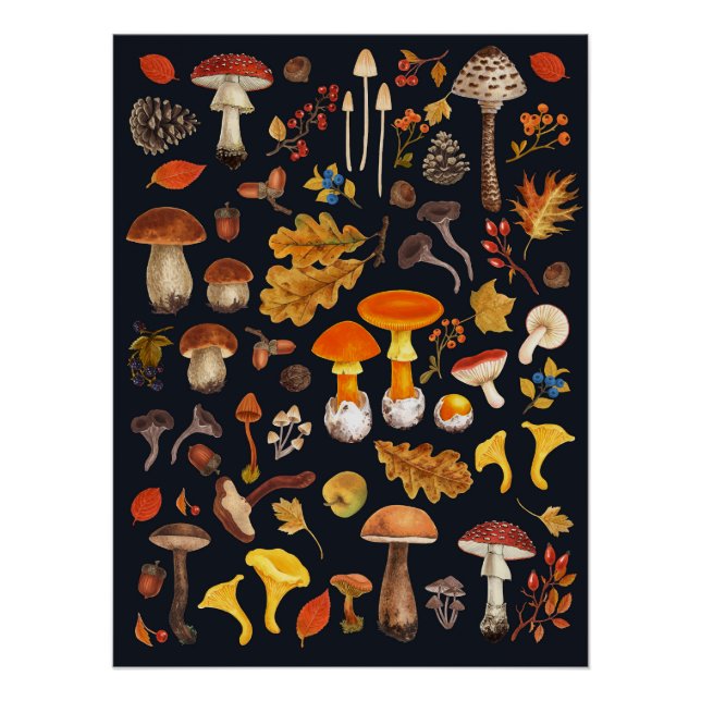 Wild mushrooms on black poster (Front)