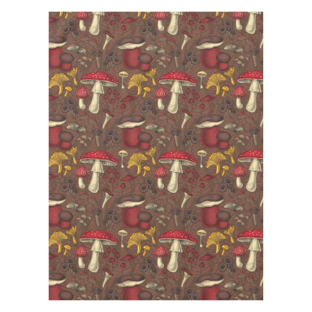 Wild mushrooms on brown tablecloth (Front)