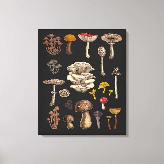 Wild Mushrooms  on graphite black Canvas Print (Front)