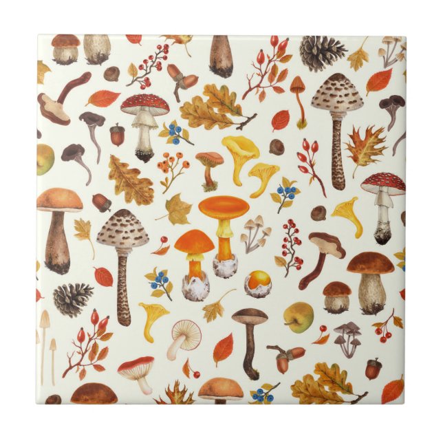 Wild mushrooms on off white tile (Front)