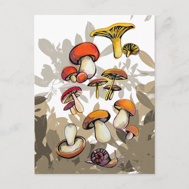 wild mushrooms postcard (Front)