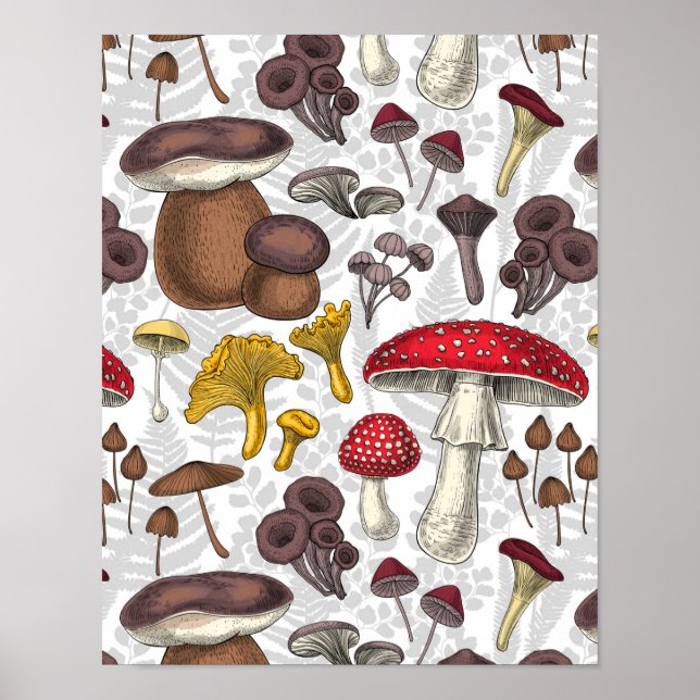 Wild mushrooms poster (Front)