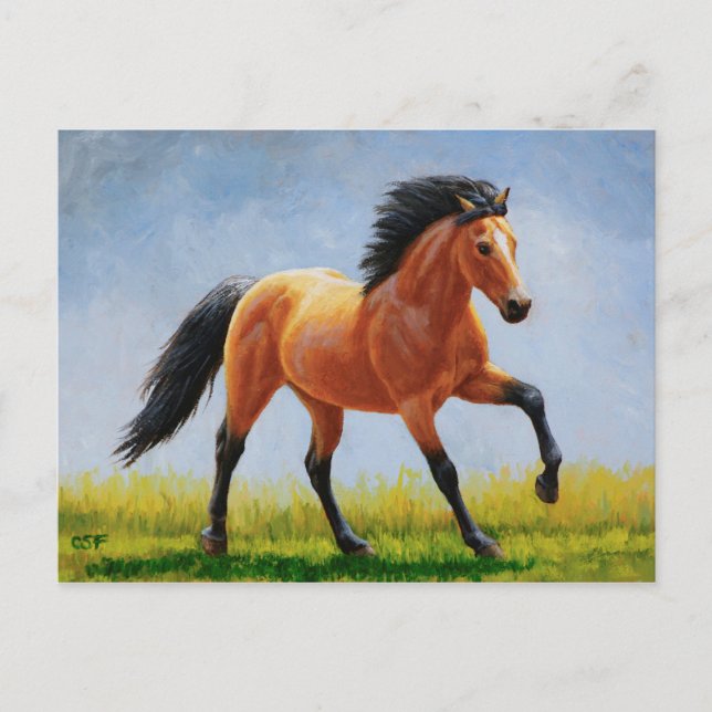 Wild Mustang Buckskin Horse Running Postcard (Front)