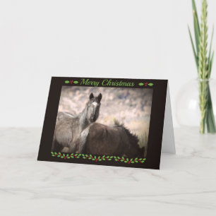 Wild Mustang Christmas Holiday Card