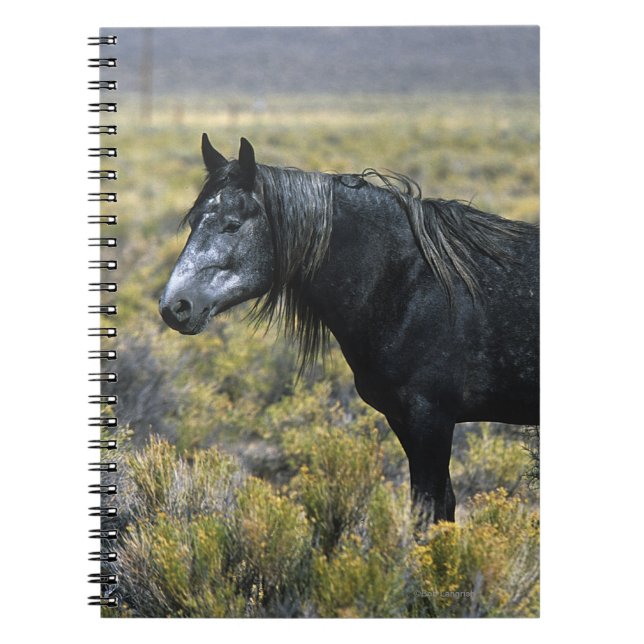 Wild Mustang Horse in the Desert Spiral Notebook (Front)