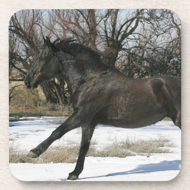 Wild Mustang Horse in the Snow 2 Coaster (Front)
