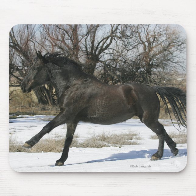 Wild Mustang Horse in the Snow 2 Mouse Pad (Front)