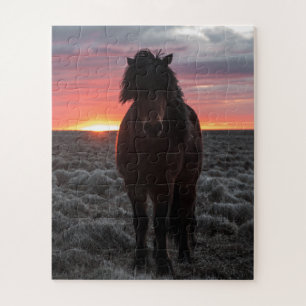 Wild Mustang Horse in the Sunset Jigsaw Puzzle