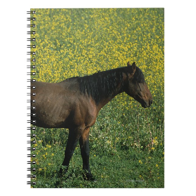 Wild Mustang Horse Standing in Flowers Spiral Notebook (Front)