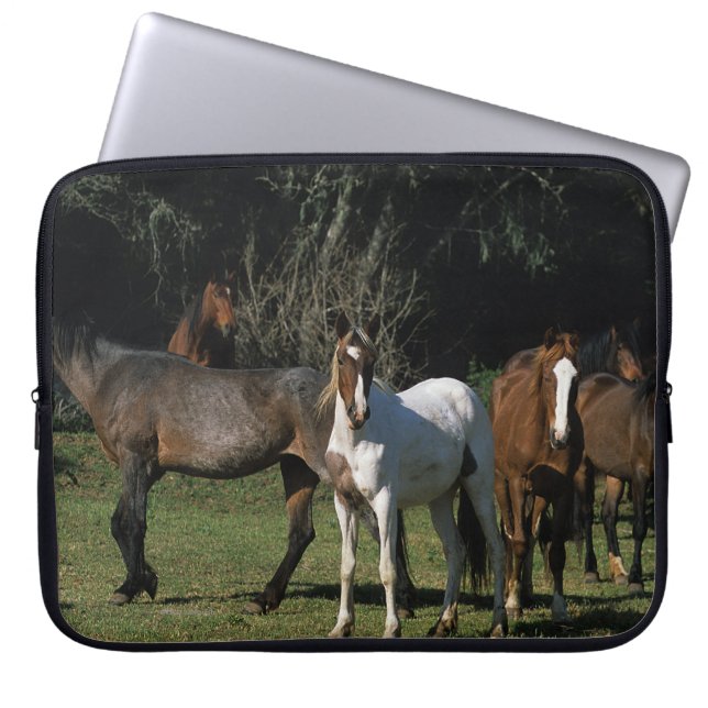 Wild Mustang Horses 1 Laptop Sleeve (Front)