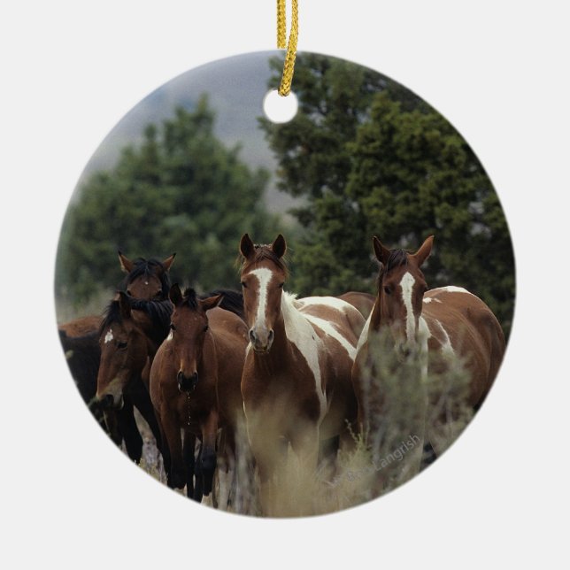 Wild Mustang Horses 2 Ceramic Tree Decoration (Front)
