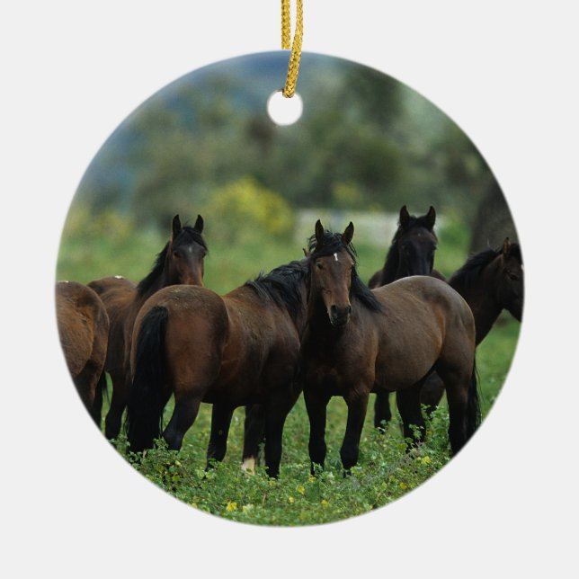 Wild Mustang Horses 3 Ceramic Tree Decoration (Front)