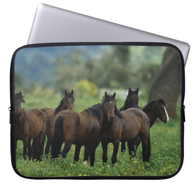 Wild Mustang Horses 3 Laptop Sleeve (Front)
