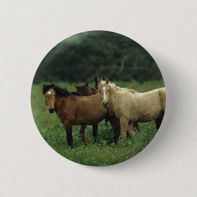 Wild Mustang Horses 4 6 Cm Round Badge (Front)