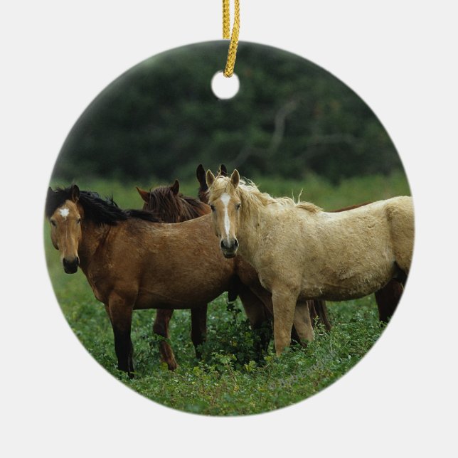 Wild Mustang Horses 4 Ceramic Tree Decoration (Front)