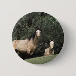 Wild Mustang Horses 6 6 Cm Round Badge