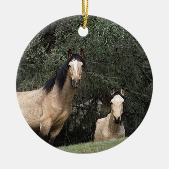 Wild Mustang Horses 6 Ceramic Tree Decoration (Front)