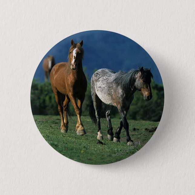 Wild Mustang Horses 6 Cm Round Badge (Front)