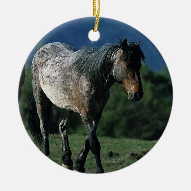 Wild Mustang Horses Ceramic Tree Decoration (Front)