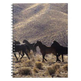 Wild Mustang Horses in the Desert 1 Spiral Notebook