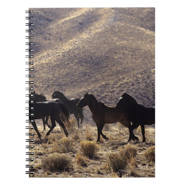 Wild Mustang Horses in the Desert 1 Spiral Notebook (Front)