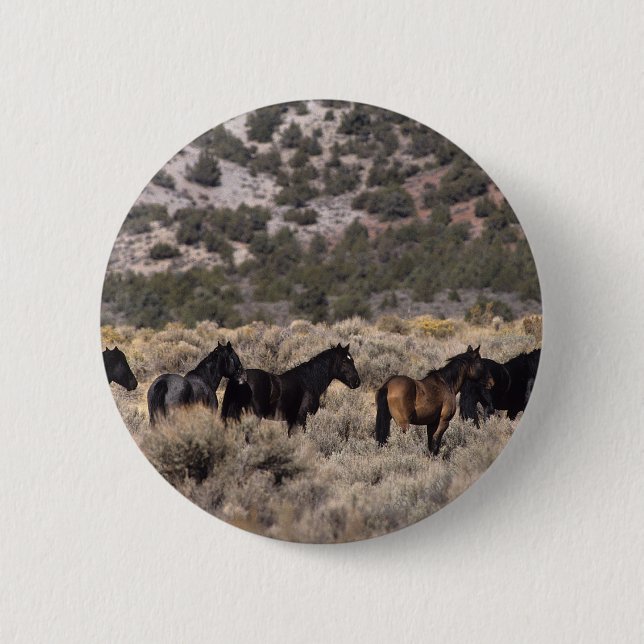 Wild Mustang Horses in the Desert 2 6 Cm Round Badge (Front)