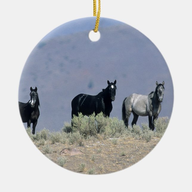Wild Mustang Horses in the Desert 3 Ceramic Tree Decoration (Front)