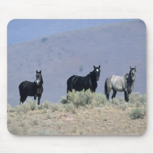 Wild Mustang Horses in the Desert 3 Mouse Pad