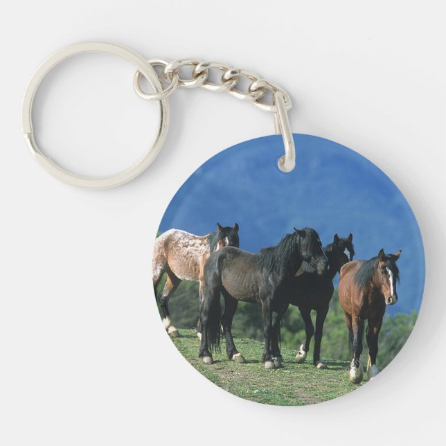 Wild Mustang Horses in the Mountains Key Ring (Front)