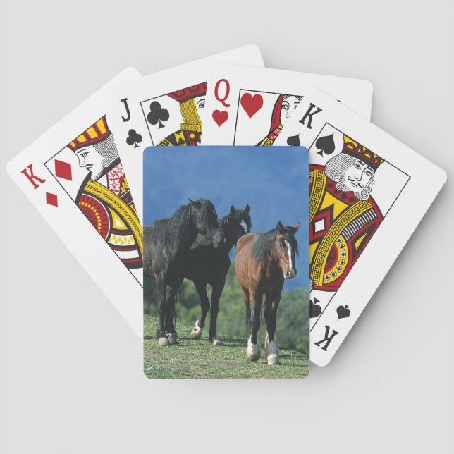 Wild Mustang Horses in the Mountains Playing Cards (Back)