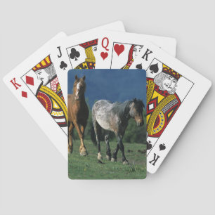 Wild Mustang Horses Playing Cards