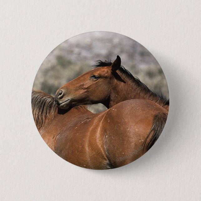 Wild Mustang Horses Touching 6 Cm Round Badge (Front)