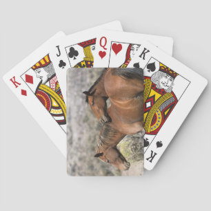 Wild Mustang Horses Touching Playing Cards