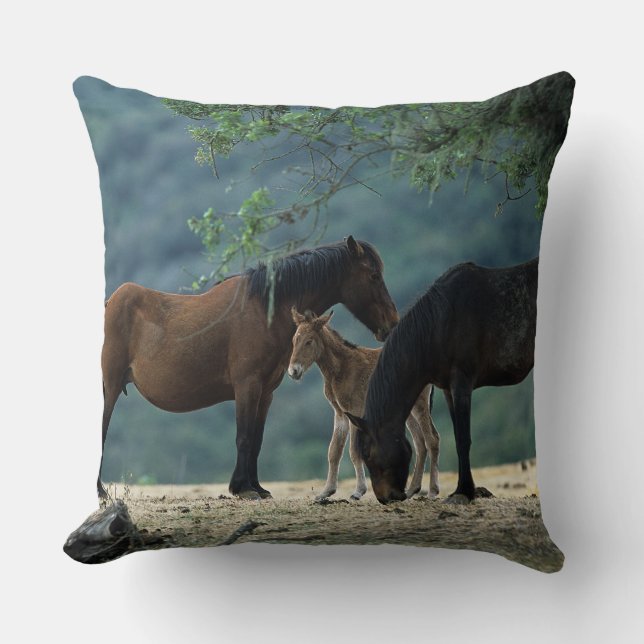 Wild Mustang Mare & Foal Cushion (Front)