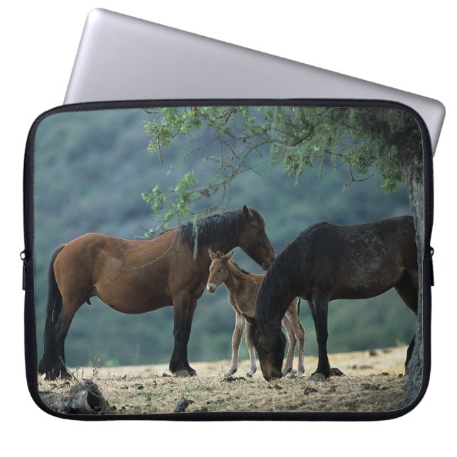 Wild Mustang Mare & Foal Laptop Sleeve (Front)