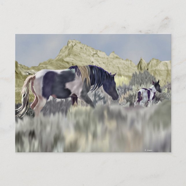 Wild Mustang Mare Foal Western Horse Art Postcard (Front)