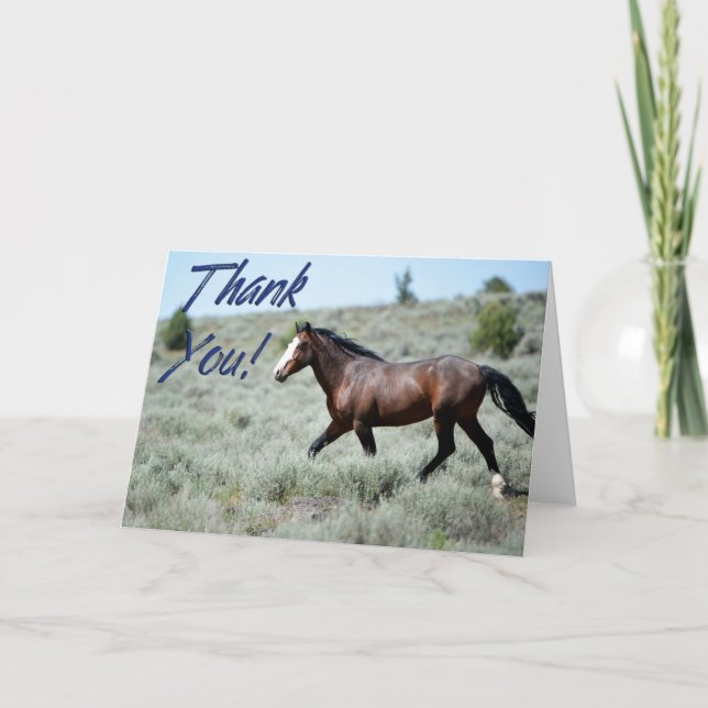 Wild Mustang Photo Thank You Card (Front)