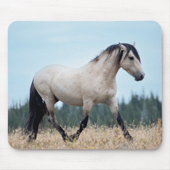 Wild Mustang Stallion Mouse Pad (Front)