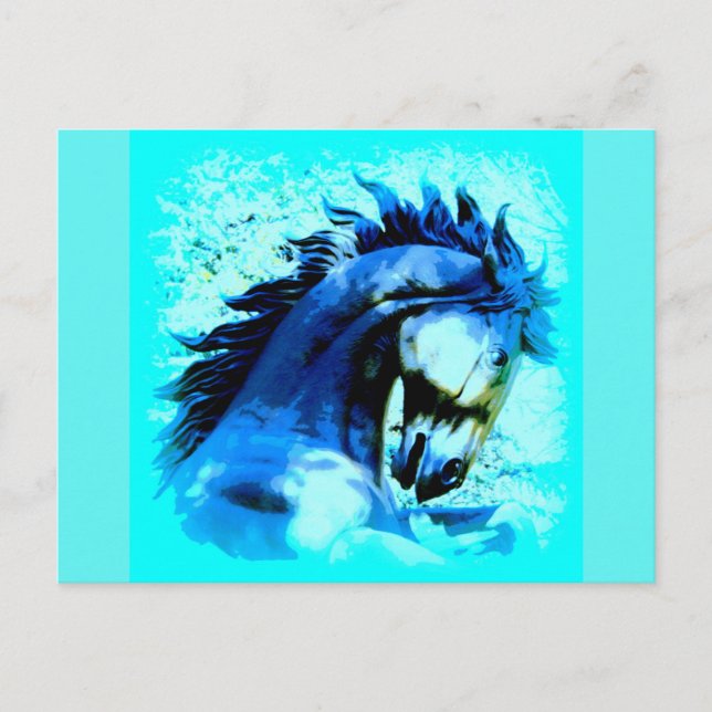 wild mustang stallion postcard (Front)