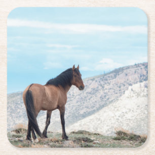 Wild Mustang Stallion Square Paper Coaster