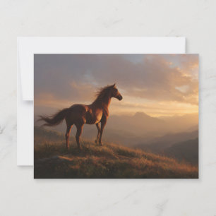 Wild Mustang Watching the Sunset Postcard