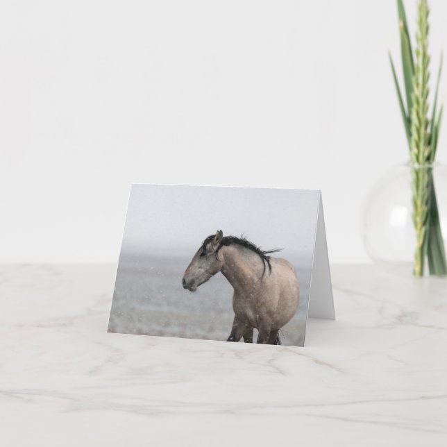 Wild Mustangs in the Snow card (Front)