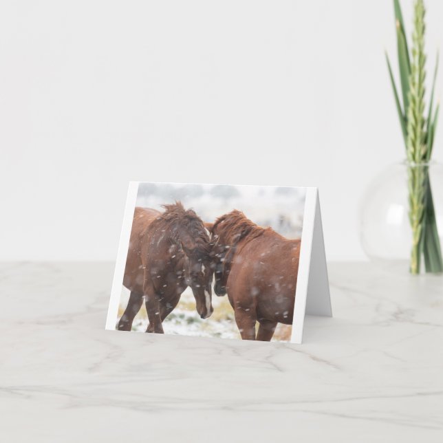 Wild Mustangs in the Snow card (Front)