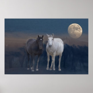 Wild Mustangs of the Night Poster