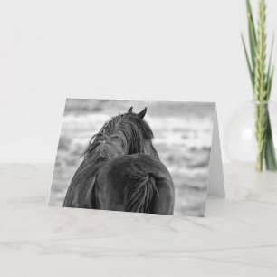 Wild Mustangs of the West Card
