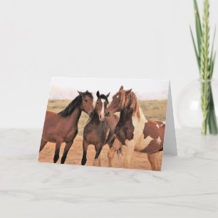 Wild Mustangs of the West Card