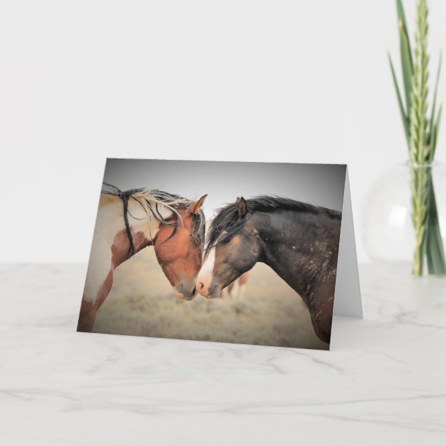 Wild Mustangs of the West Card (Front)