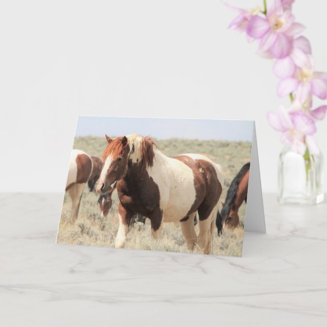 Wild Mustangs of the West Card (Orchid)